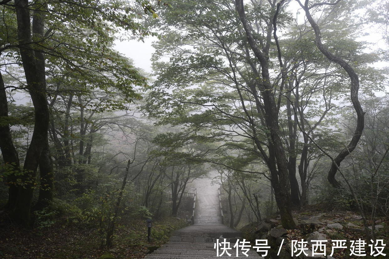 黄山|薄云浓雾游黄山宛若仙境【严建设】