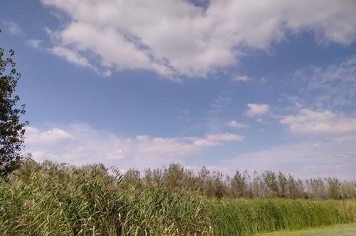 俎豆#考古重大发现,终于探明中华文明的历史源头与文化渊源