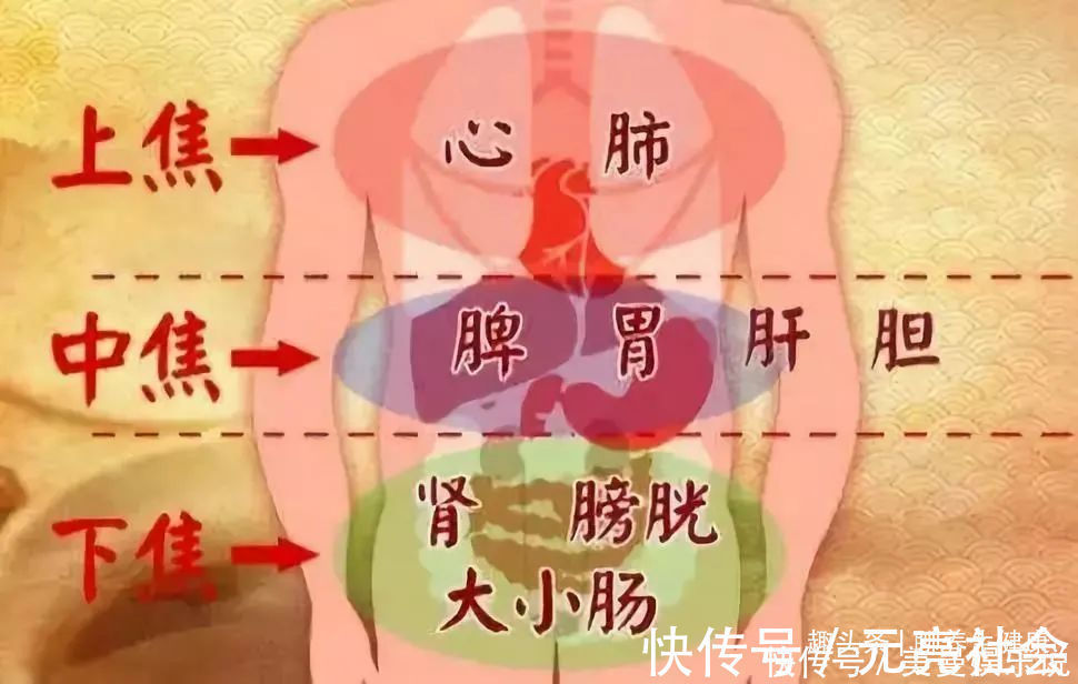 三焦者|三焦经,主一身之气!打通它,排掉闷气、病气、火气,气顺百病消