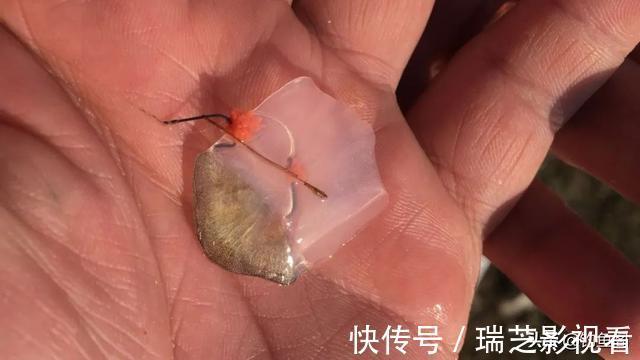 鱼钩|钓鱼时总是挂到鱼鳞?只需简单调整,就能轻松把鱼钓上岸