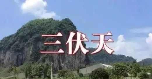  生病|2020三伏时间表最易生病的40天快来了，不论男女都要这样做