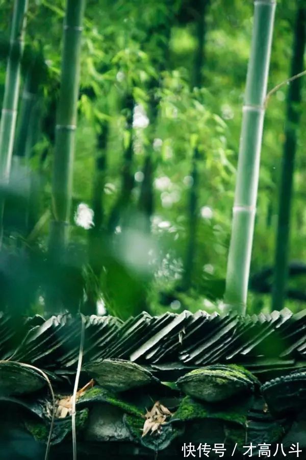 古诗词#古诗词之最:最深的情,给最懂的人