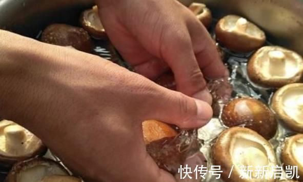 青菜|买来的蘑菇不要马上洗，教你一个妙招，里面的虫子无处可逃