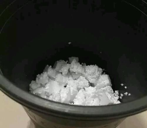 花盆里加这些东西,再也不怕花卉烂根黄叶了