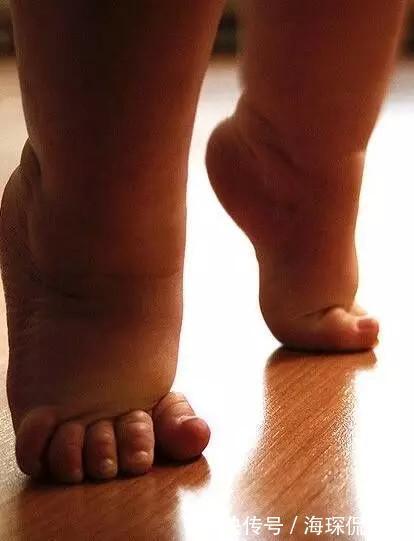 洞洞书|多摸摸这两个部位,宝宝越来越聪明!宝妈来了解一下