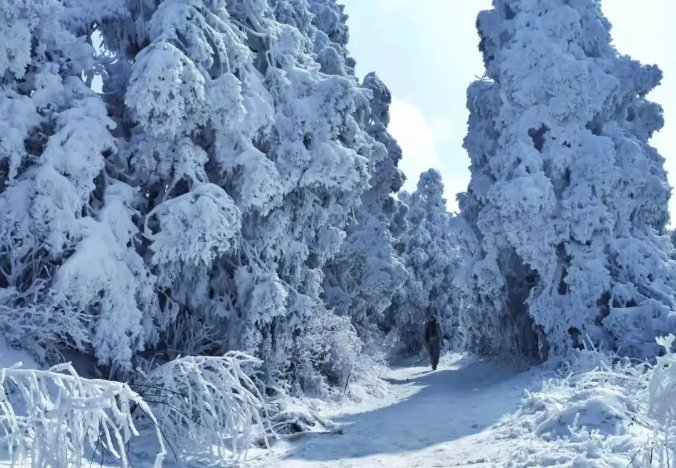 雾凇|绝了！天台冬季美景，宛如冰雪世界！一天看8小时都不够!