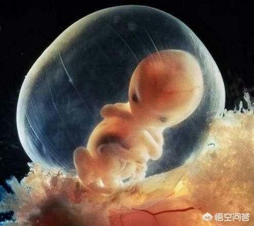 胎儿|怀孕4个月是不是孕中期？有需要注意的事情吗？