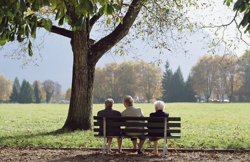  东西|李可：不论南北东西，60岁以上老人，都要喝这碗保命汤！