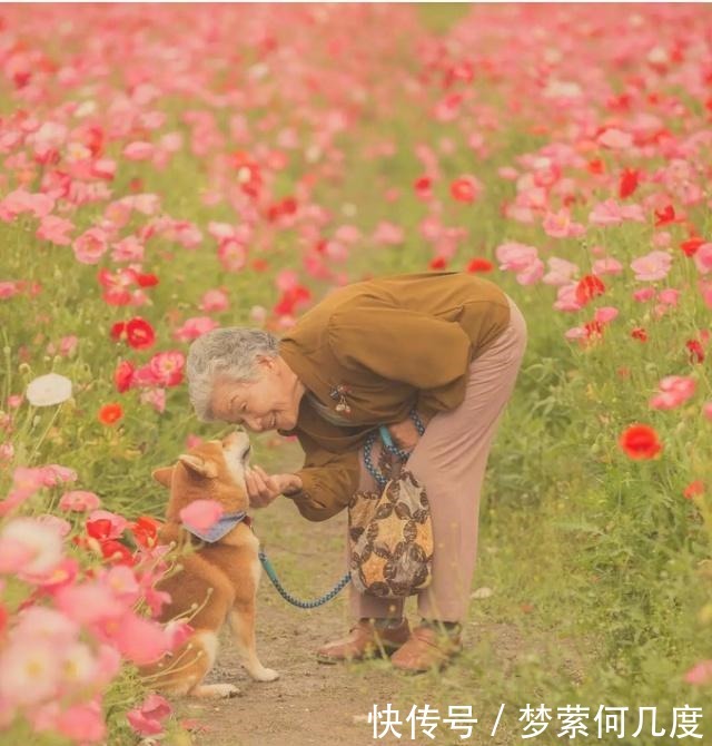 日本老人的“晚年生活”,都有哪些精彩值得学习