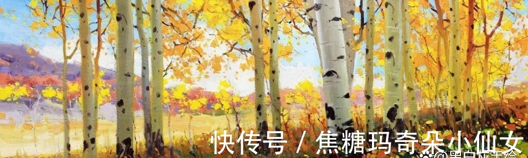 美国肖像协会!白桦林之美