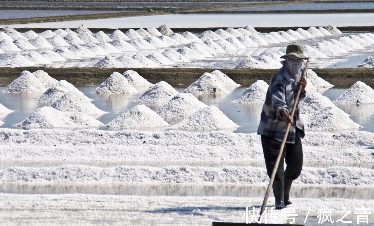 远古人类不吃盐,野生动物不吃盐活蹦乱跳,现在不吃盐却会有问题