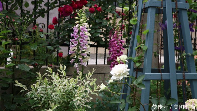 洋房|为了可以养花,我建了座小洋房,终于可以打造梦寐以求的花园了