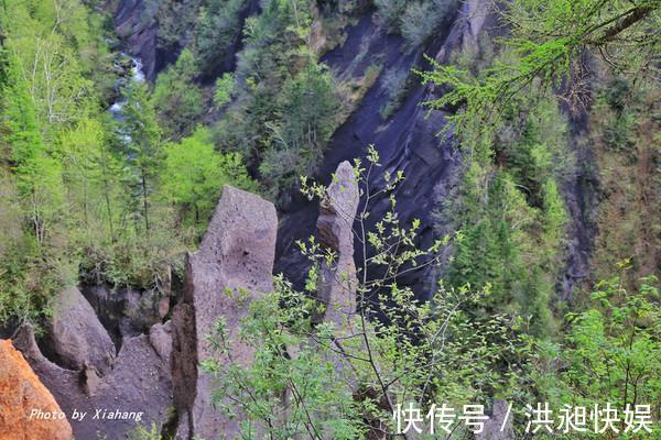 长白山|长白山西坡大峡谷，被誉为火山天然熔岩盆景园，你来过吗