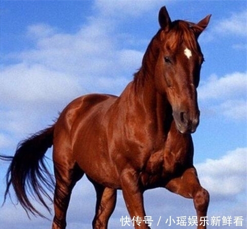 92岁老人无子女,自己花26万建“活人墓”,在墓中设置重重机关!