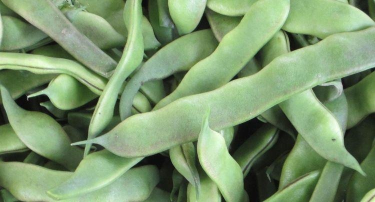 必须要焯水的9种蔬菜, 省略此一步, 等于吃掉健康, 赶紧学起来!