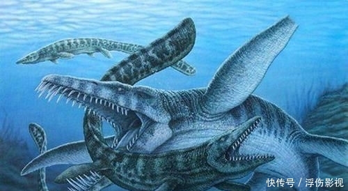 泥盆纪时期的鱼类比霸王龙还要大 连霸王龙都不是它的对手 快资讯