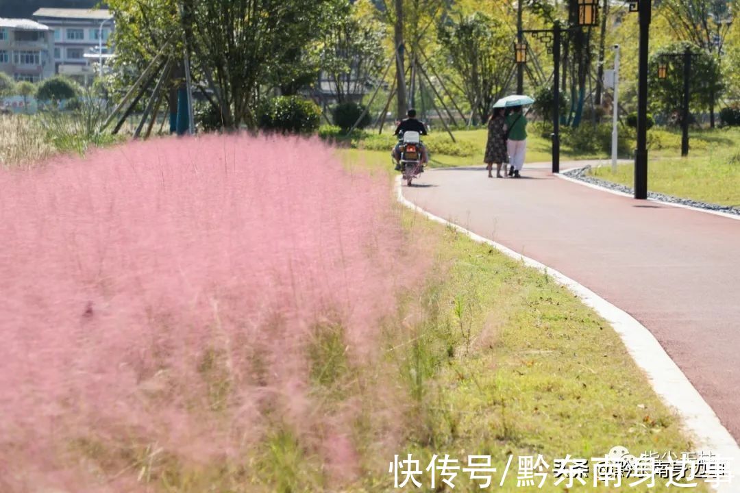 水景长廊|天柱三十里水景长廊有个“网红草”，快去拍照吧