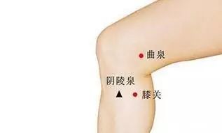 三阴交|各种病都能找到对应的穴位,1穴搞定1病症快快分享给朋友