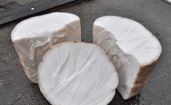 庐山@中国“太岁”是什么物种?揭开太岁的庐山真面目,你想都想不到