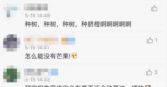 记者团 它发了一条微博,网友彻底沸腾了