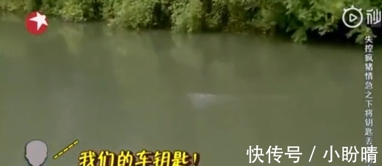 网友们怀念严敏导演：那时车钥匙都可以扔河里，更别说黄磊开箱子