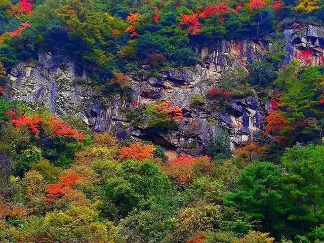 绵阳|四川首个藏羌彝文化旅游走廊联合实验室在平武揭牌成立!5条“撒野”旅游线路!好玩不容错过!