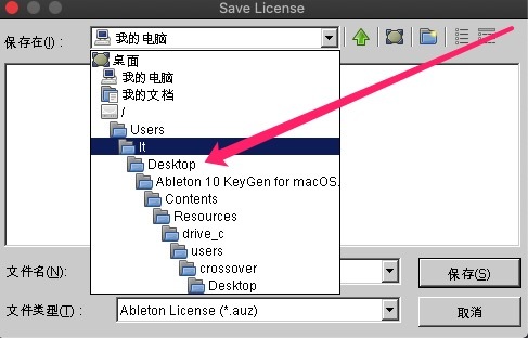 Ableton Live 11 Suite v11.0.10 for Win 官方中文版 + 注册机