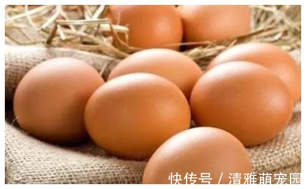 每天吃鸡蛋的人,和不吃鸡蛋的人,只有4个差距,看完你还想吃吗