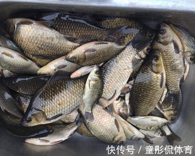 钓位|秋季钓鱼,无论别人说得再好,这些钓点都要远离,不然损失惨重