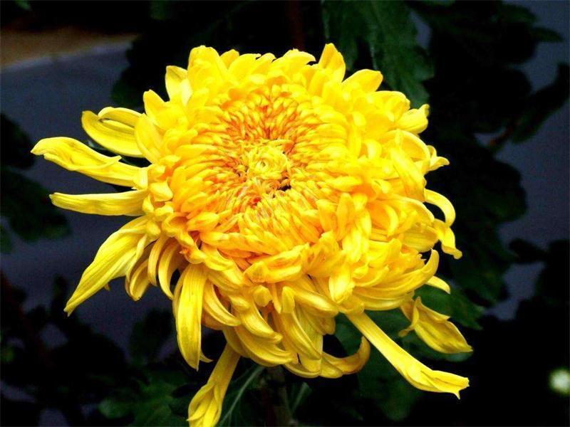 人到中年|人到中年想长寿,三种食物要多吃,美容养颜,滋润身体