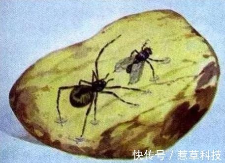 班主任#一波回忆杀,课本上的插画你还认识几张?班主任:全认识的是学霸