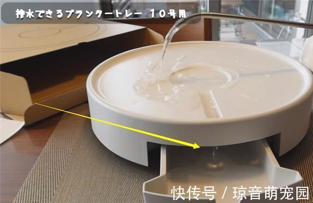 清洁|无印良品5样实用好物推荐!若不差这点钱,是真的非常值得买