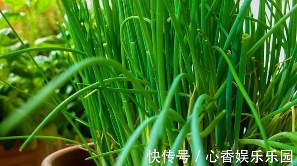 葡萄|女性不想成黄脸婆,推荐常吃3种食物,延缓衰老,美容养颜