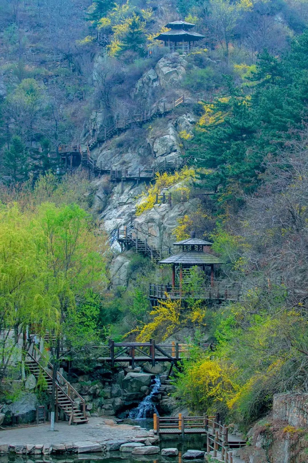 济南|错过今天，再等200年！济南这十大网红打卡地，太应景……