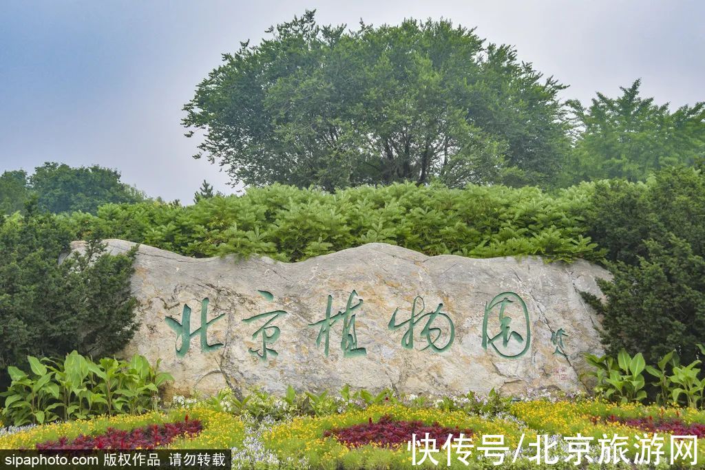 京西稻|秋游首站!北京“小镰仓”漫画电车站,车票仅3元!