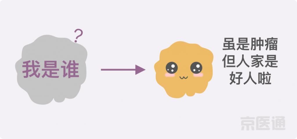 癌症|结节、息肉、囊肿是癌症先兆吗?北肿专家们说出了真相!