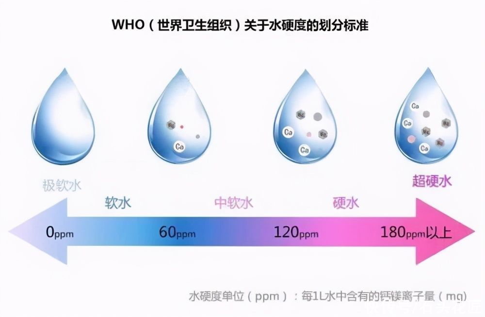 养花浇水“10年功”，教你2招区分：你用的是软水、还是硬水？