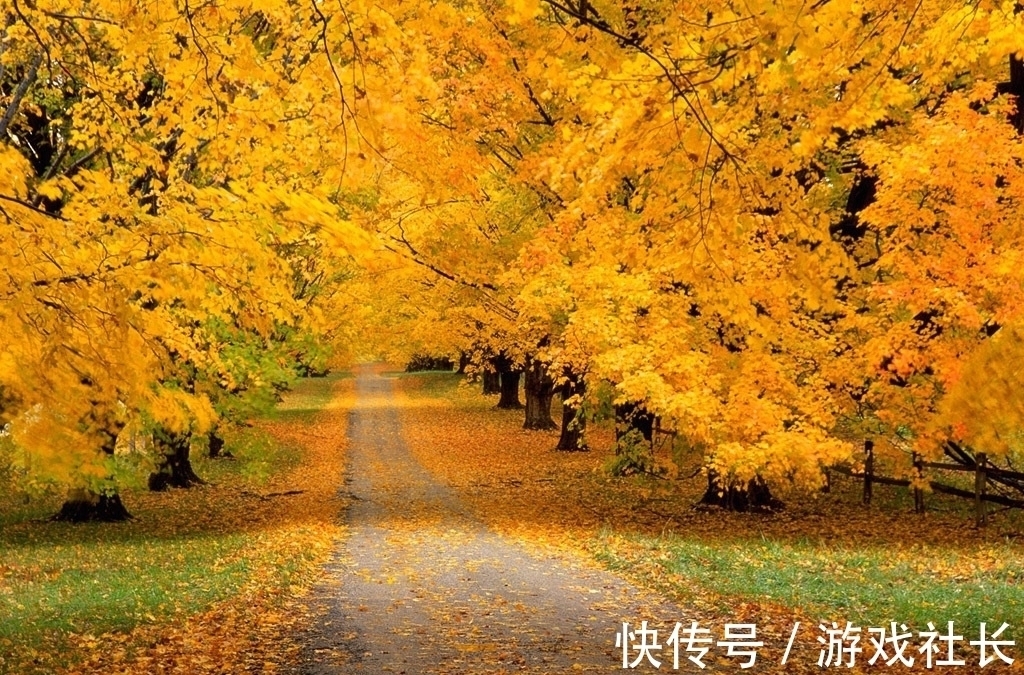 雨潇潇!七言绝句《送别》,远游多日归乡时何人相送?最后一句点明主旨