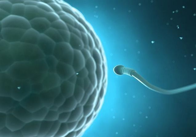 怀孕|受精到着床大概需要多长时间若有这些“不适感”,恭喜怀孕啦