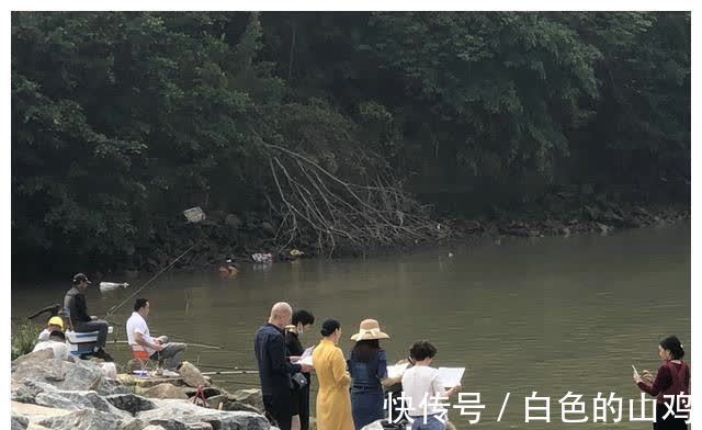 北江禾花鲤大爆发,将成生态问题?钓鱼人一天轻松钓50斤