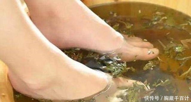 农村这种野草，是湿气的克星，泡脚时加点它，排毒祛湿，消毒止痒