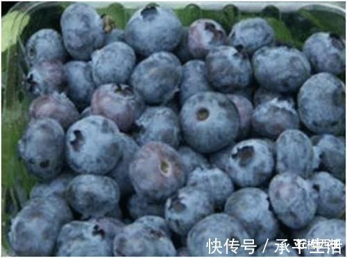 孕妇|怀孕后多吃这三种食物，生出孩子像娃娃那样好看，谁看了都喜欢