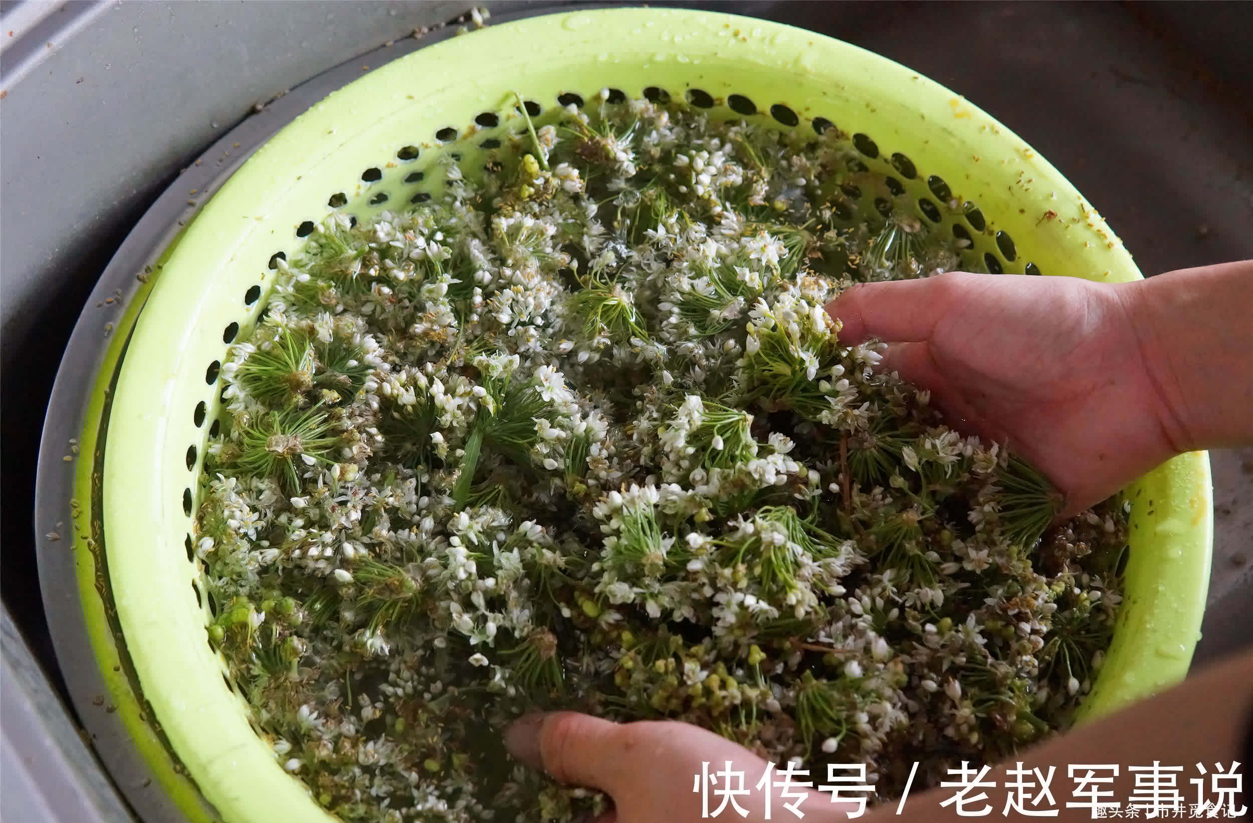 黄州寒食诗帖|做韭花酱,别只会加盐,多加两样,韭花翠绿鲜香,味道不一般的好