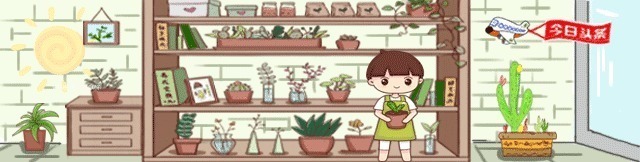 自制|分享养花技巧,7天自制“有机肥”,最有效最简单,养花最实用