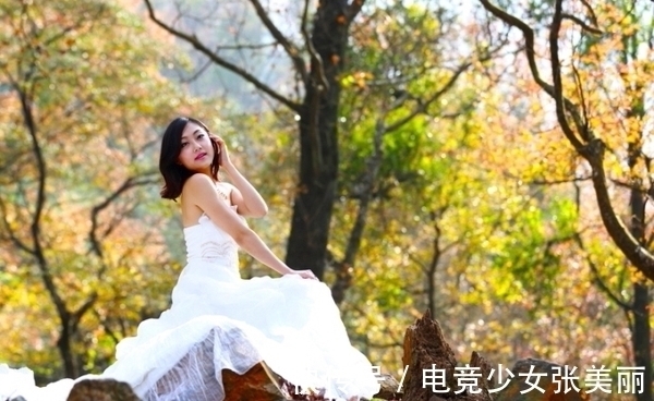 一叶知秋&一叶知秋寒色起,飞红舞罢引风凉;七律六首,秋情寄梦意悠悠