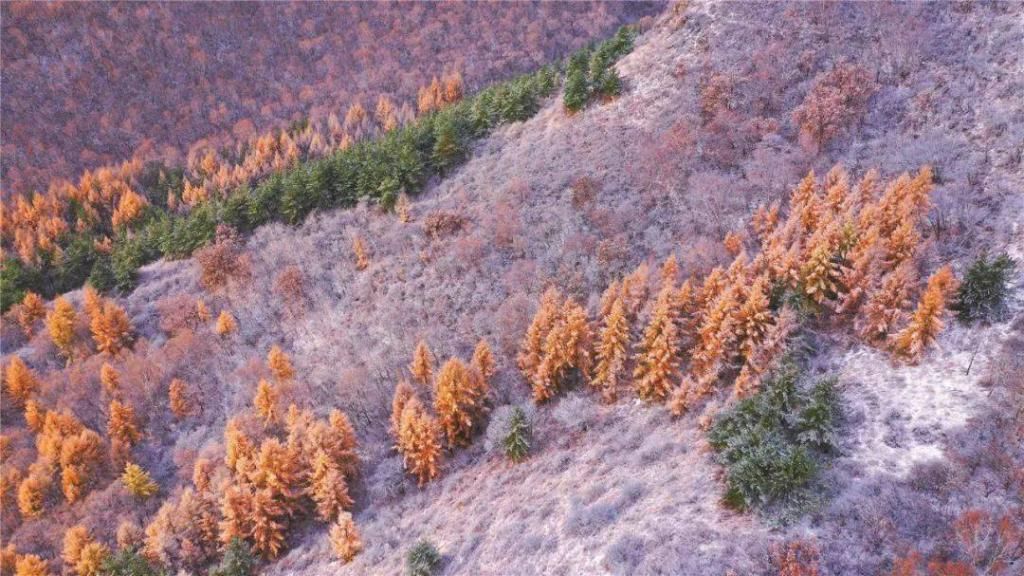  大青山|《呼和浩特第一场雪》