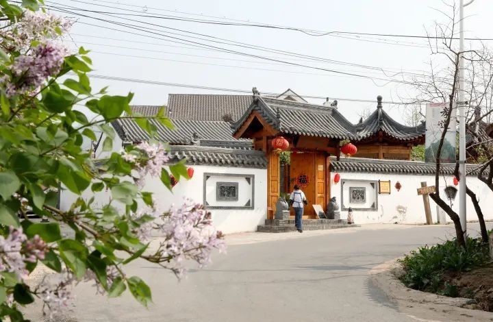 天际|山间梨花陆续开 乾隆绿道待客来