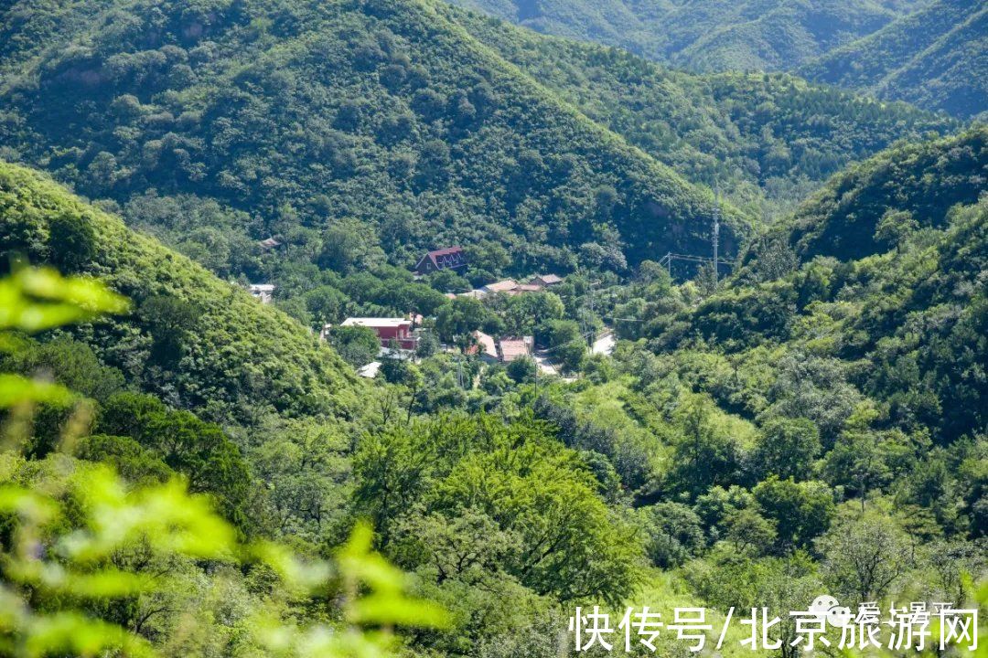 居庸关|这个风景秀美的村庄，溪流叠水，野花遍地，现在去正好~