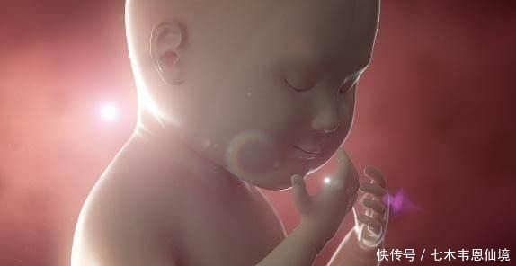 小家伙|四维做到一半,小家伙竟然在妈妈腹中干“坏事”,连医生都乐了