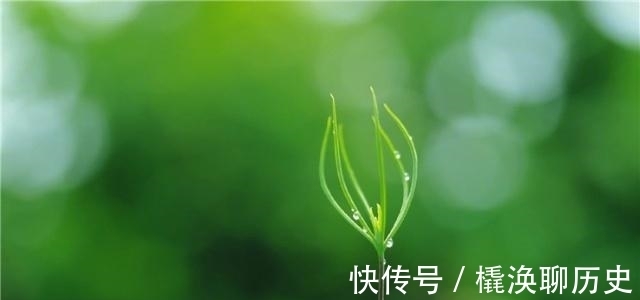 自救#人生逆境时，用这3种方法自救，天不渡人，人自渡